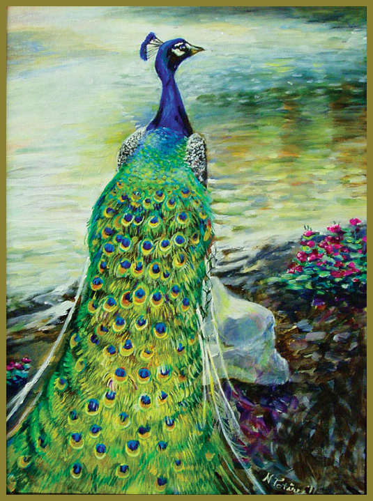 Peacock on a Rock